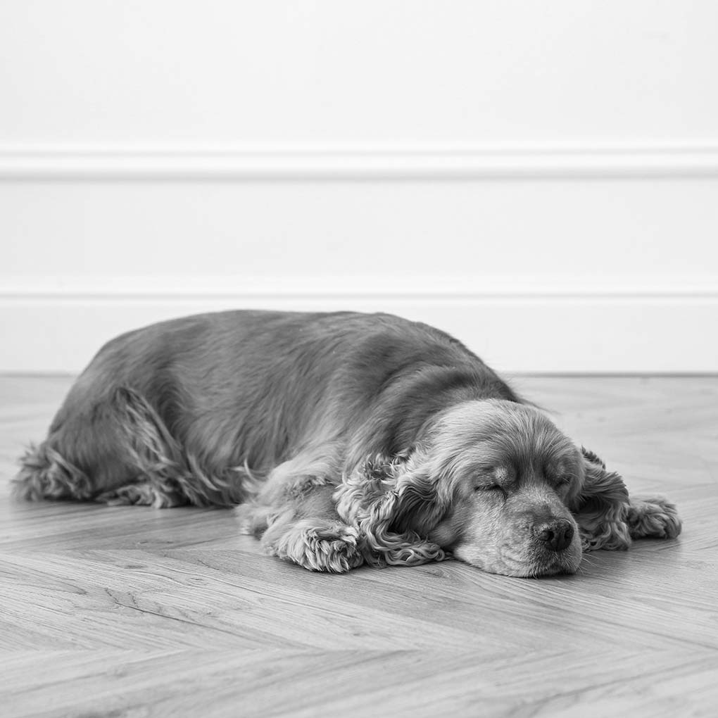 urgent UFH CAD design